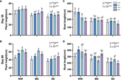 Enhancing plant resilience: arbuscular mycorrhizal fungi’s role in alleviating drought stress in vegetation concrete